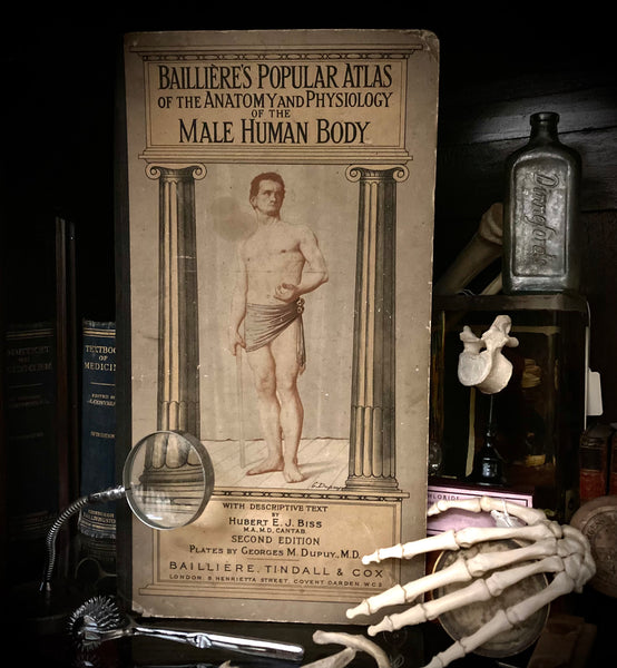 Vintage Male Human Body Folio