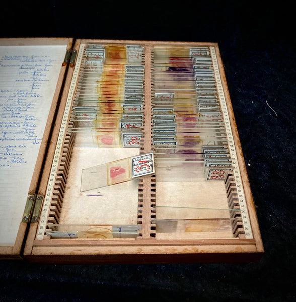 Boxed microscope blood slides